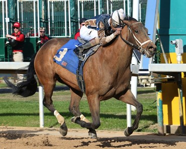 Sonny Smack - Horse Profile - BloodHorse