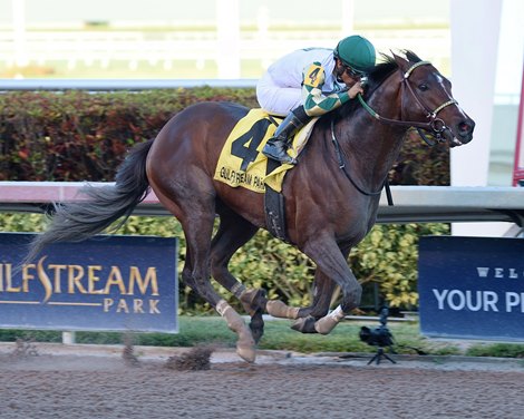 Classic Rock Rolls to Win Gulfstream Park Sprint - BloodHorse