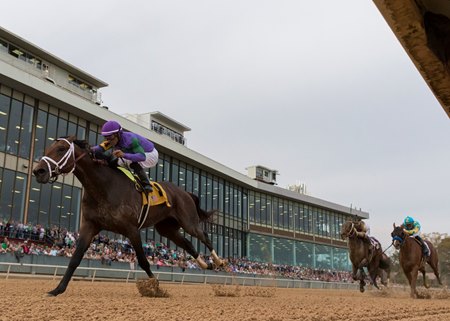 Oaklawn to Split Rebel Stakes if Enough Interest - BloodHorse