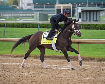 Noble Indy - Horse Profile - BloodHorse