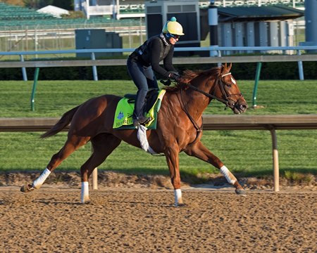 Hofburg was the only Kentucky Derby challenger to put in an official work Sunday morning at Churchill Downs