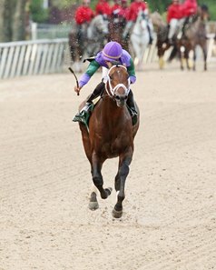 Magnum Moon Fifth On Top Earner List For Malibu Moon Bloodhorse