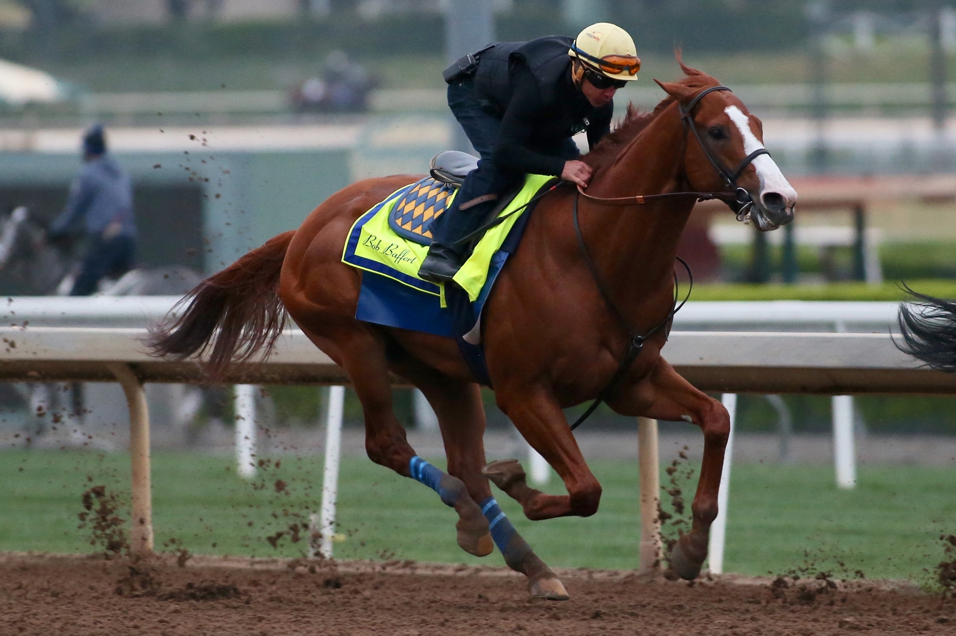 5 Day Santa Anita Workout Reports for Push Pull Legs