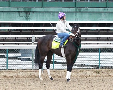 Image result for bravazo horse