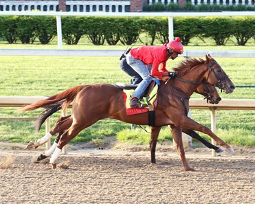 Flameaway - Horse Profile - BloodHorse