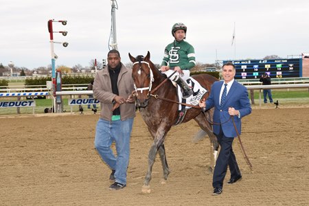 Army Mule Retired to Hill 'n' Dale - BloodHorse