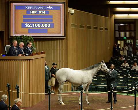 Pope buys Tapit colt for $2.1 million