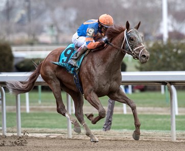 Vino Rosso - Horse Profile - BloodHorse