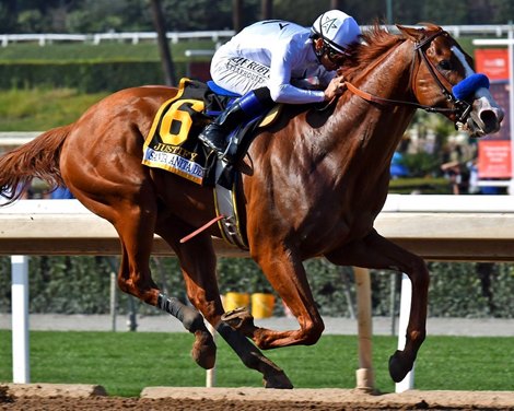 Judge: Stewards' Action in Justify Case Lacks Clarity - Vimarsana News