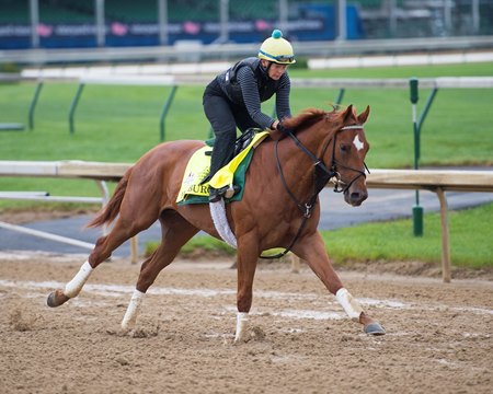 Hofburg Takes First Spin Around Churchill Downs - BloodHorse