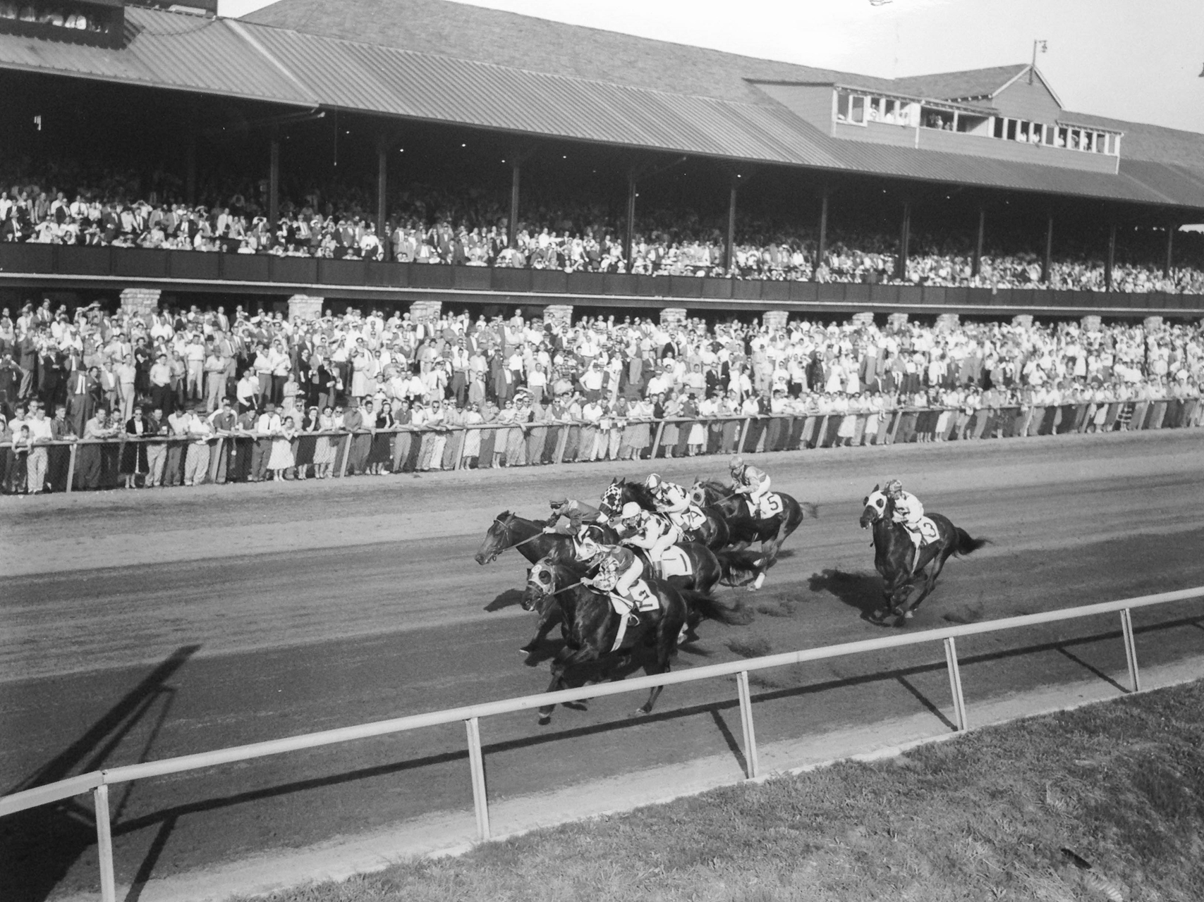 Round Table - Horse Profile - BloodHorse