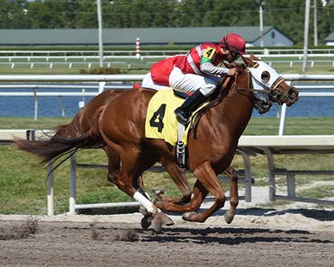 Uncaptured - Horse Profile - BloodHorse