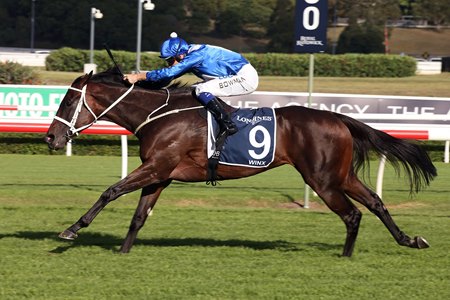 Winx Makes It 25 Straight With Queen Elizabeth Victory Bloodhorse