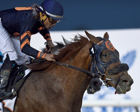 Mind Your Biscuits wins his second consecutive Dubai Golden Shaheen in 2018 at Meydan Racecourse