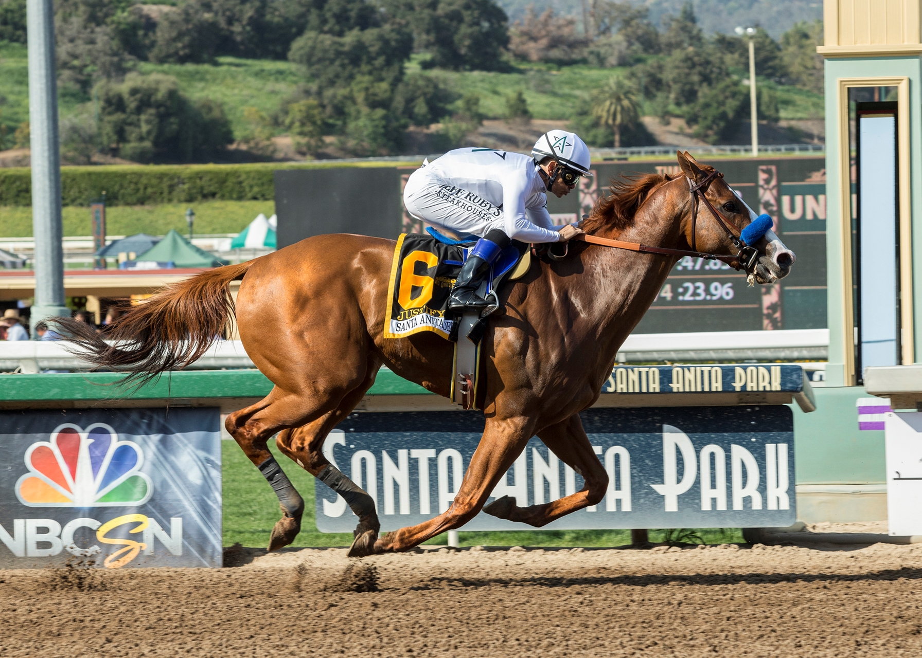 Justify Would Carry An Asterisk Into Hall Of Fame - BloodHorse