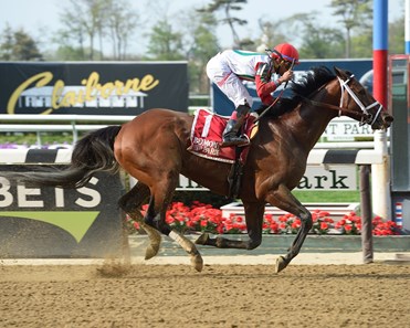 Hard Study - Horse Profile - BloodHorse