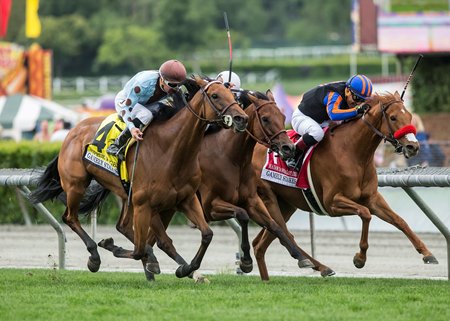 Sophie P Gets Her Nose Down for Gamely Score - BloodHorse