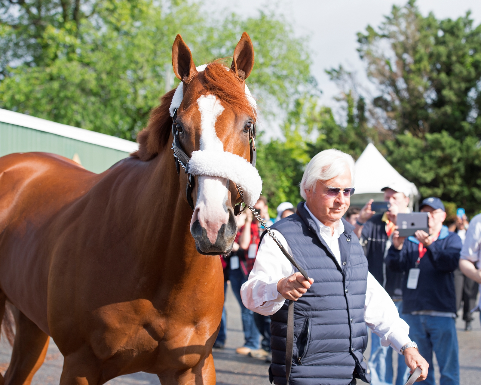 Justify Bright After Preakness Victory BloodHorse