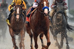 Robert Bruce Remains Undefeated in U.S. Debut - BloodHorse