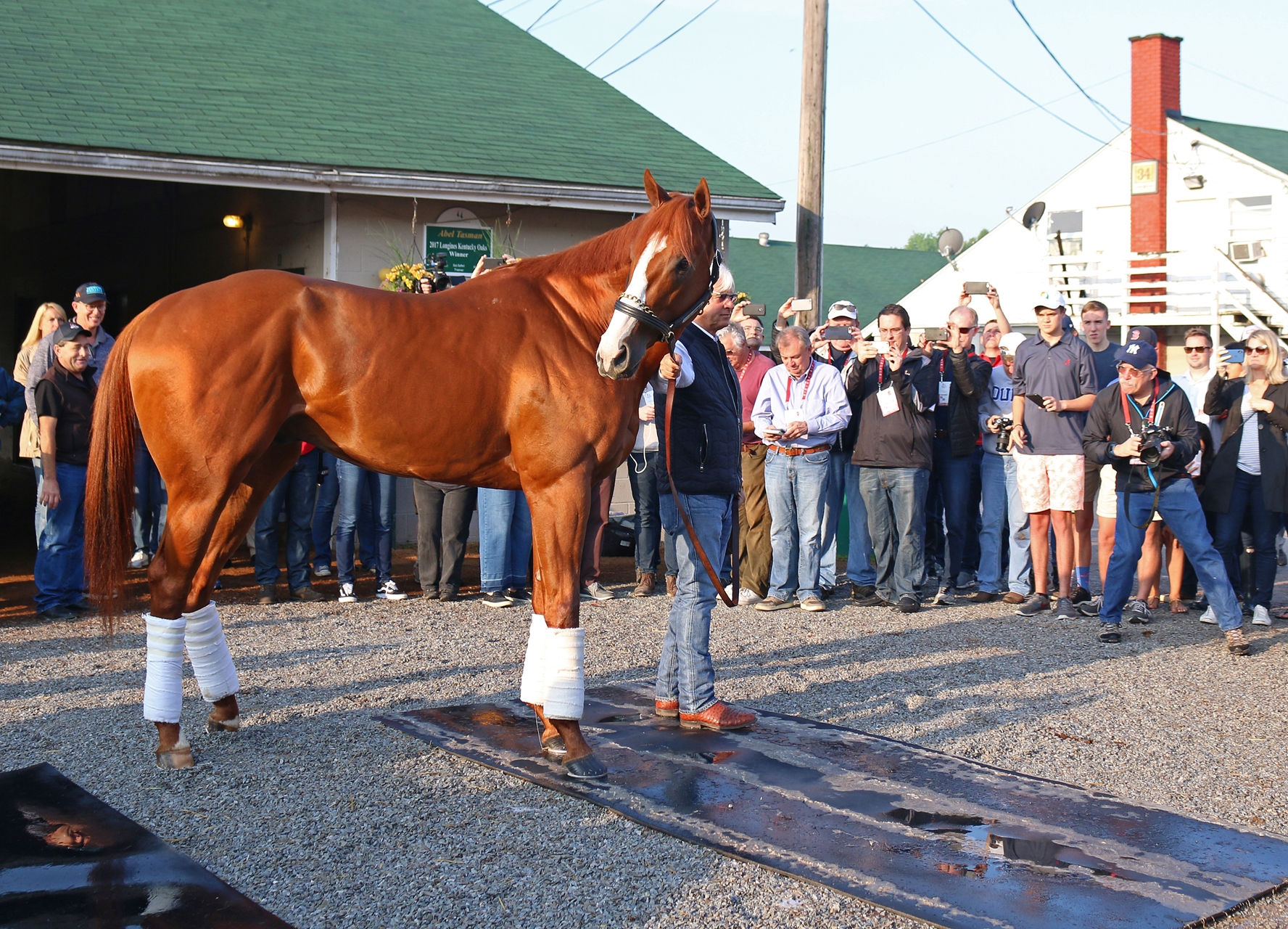 Justify s Derby Win Just Sinking In for Baffert BloodHorse