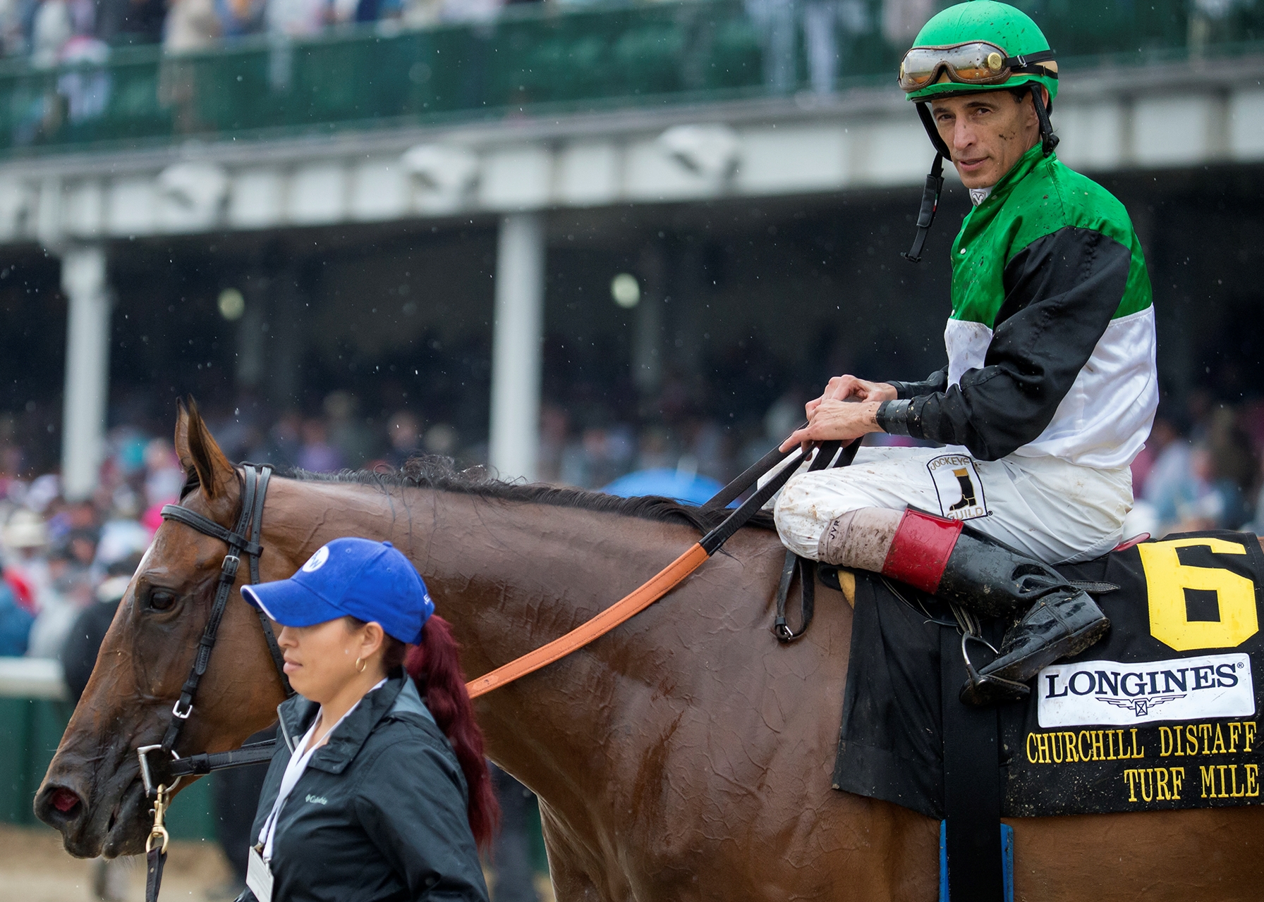 Proctor s Ledge Horse Profile BloodHorse