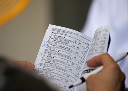 A fan handicaps the races