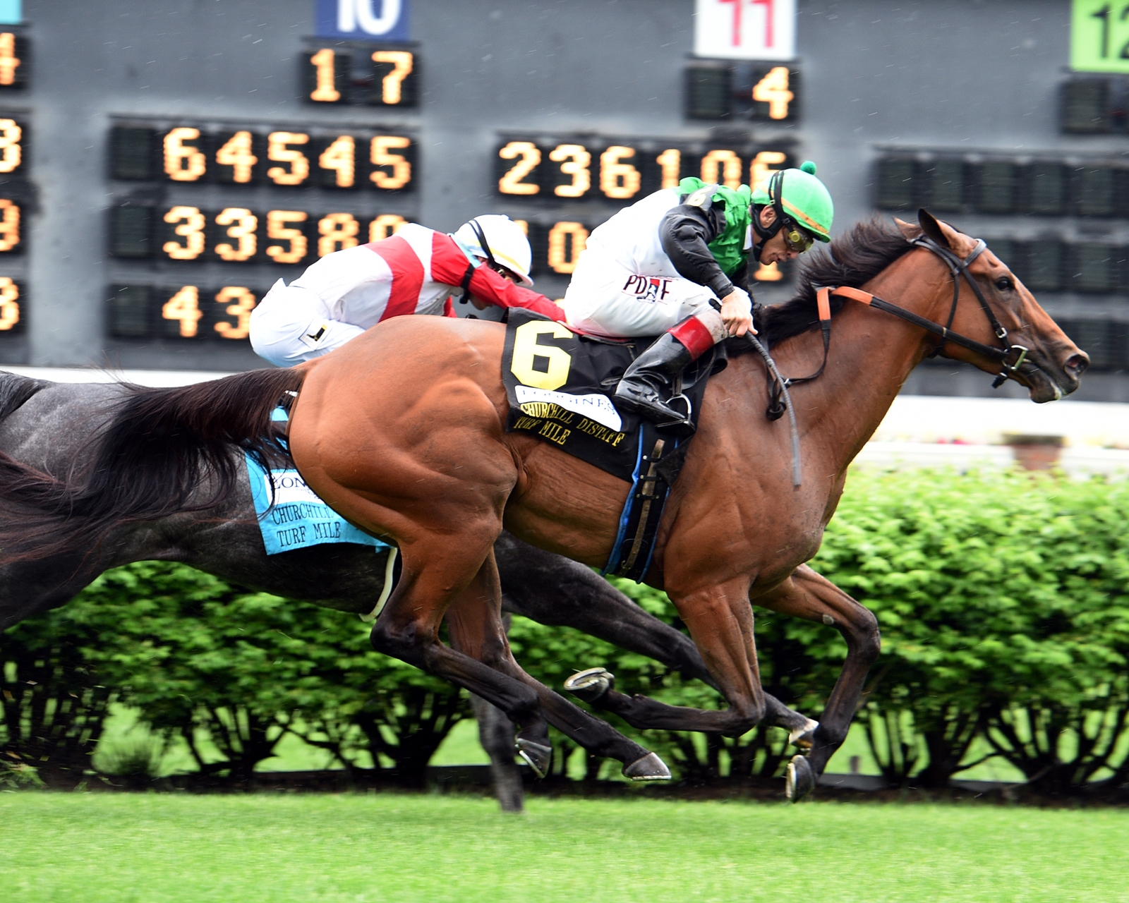 Proctor s Ledge Horse Profile BloodHorse