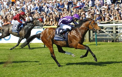 Saxon Warrior Earns O'Brien Ninth 2,000 Guineas - BloodHorse