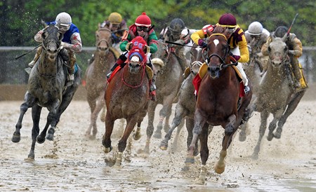 Irish War Cry - Horse Profile - BloodHorse