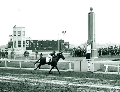 Citation Horse Profile Bloodhorse Citation Horse Profile Bloodhorse