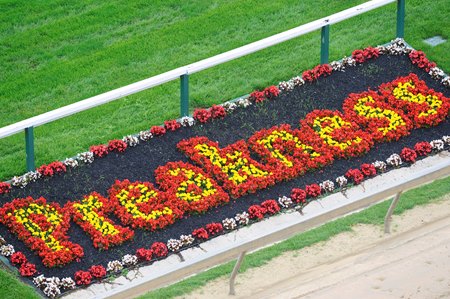 Image result for pimlico race course