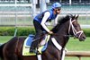 Enticed on the track at Churchill Downs on May 3, 2018