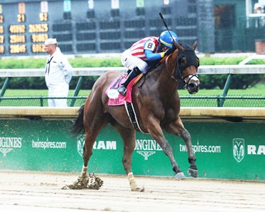 American Gal - Horse Profile - BloodHorse