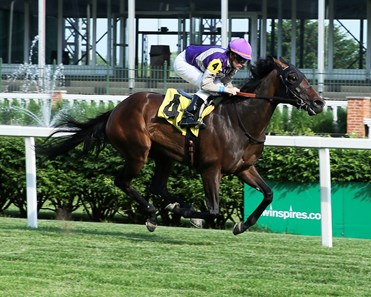 Cheeky Cherub - Horse Profile - BloodHorse