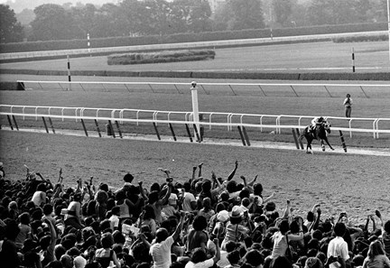 secretariat bloodhorse belmont wins stakes racing 1973 horse woodbine closes career library