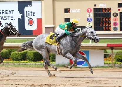 Direct Dial - Horse Profile - BloodHorse