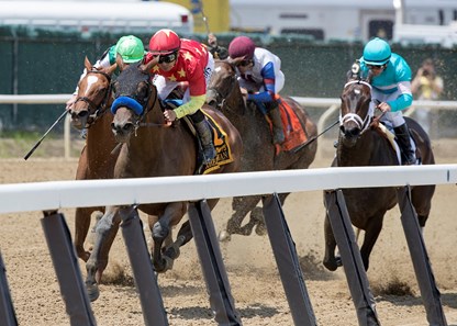 Abel Tasman - Horse Profile - BloodHorse