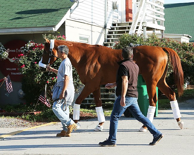 2b60625904834358b0b8be82b60c2db2.jpg?pre