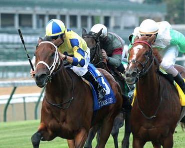 Lovely Bernadette - Horse Profile - BloodHorse