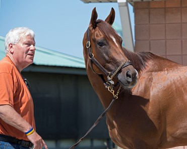 Pink Lloyd - Horse Profile - BloodHorse