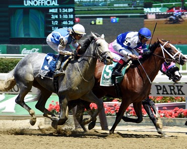 Prince Lucky - Horse Profile - BloodHorse