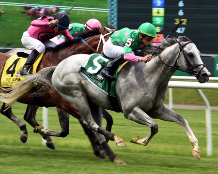 Disco Rico and His Record-Setting Son Disco Partner - BloodHorse