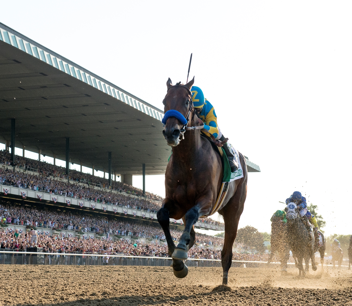 American Pharoah s Stud Career Given a Boost BloodHorse