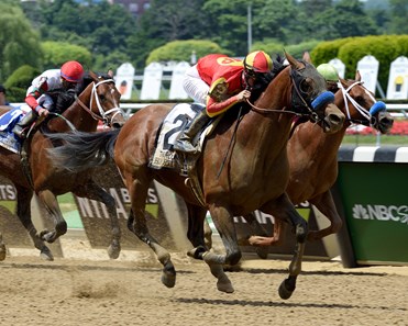 Hoppertunity - Horse Profile - BloodHorse