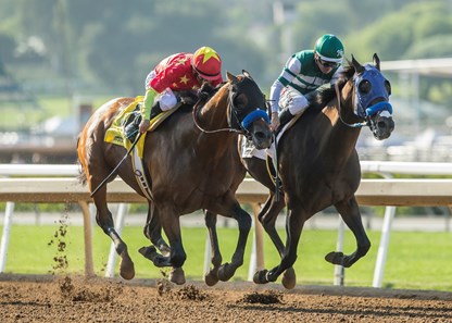 American Anthem - Horse Profile - BloodHorse