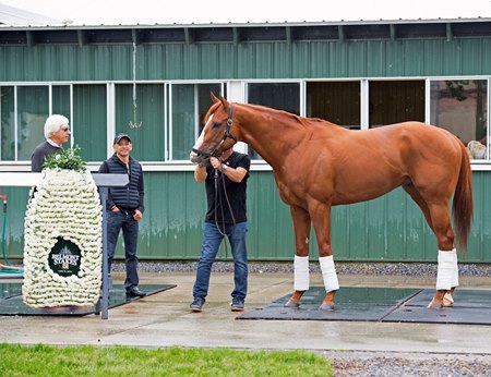 Trainer Bob Baffert and jockey Mike Smith with Justify the morning after the Belmont Stakes