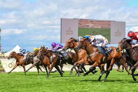 RÃ©sultat de recherche d'images pour "signora caballo queen mary stakes"