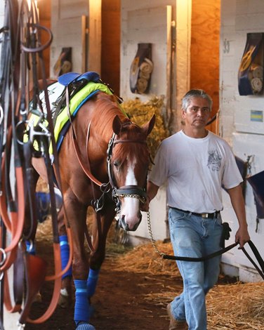 Just F Y I Another Impressive G1 Winner for Justify