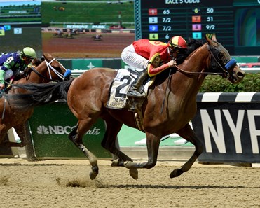 Hoppertunity - Horse Profile - BloodHorse