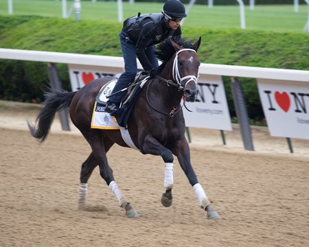 Noble Indy trains in June 2018 at Belmont Park